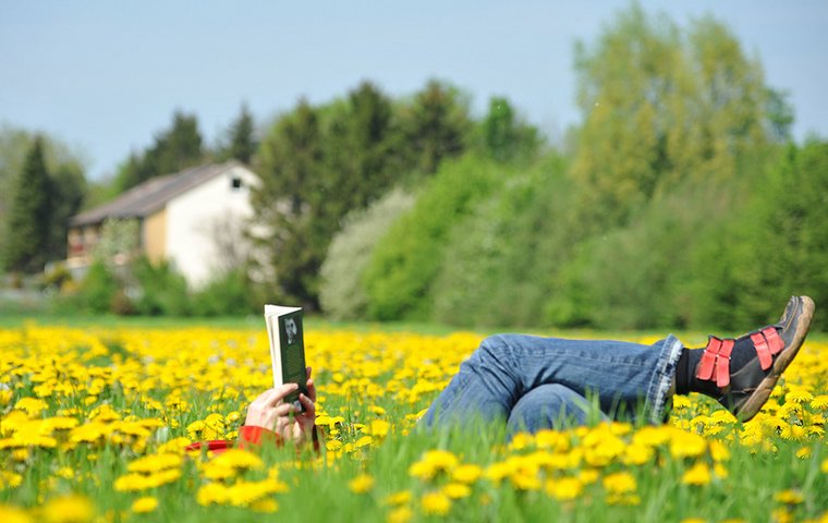 Lesende Person liegt mit Buch auf Löwenzahnwiese