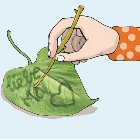 Grünes Fliederblatt mit Ästchen beschriften.