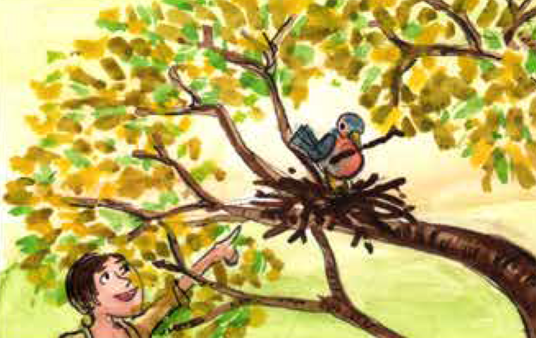 Junge guckt zu Vogelnest oben im Baum.