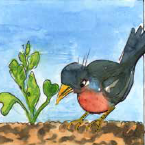 Vogel neben grünem Pflänzchen.