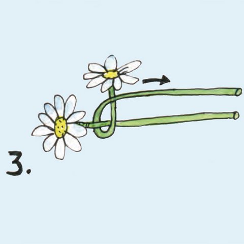 Blütenstengel miteinander verpflechten.