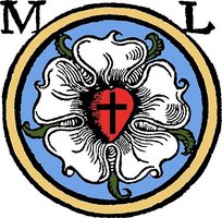 Lutherrose: weiße Rosenblüte mit rotem Herz und schwarzem Kreuz in der Mitte