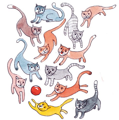 Welche zwei Katzen sind gleich?