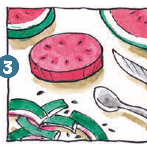 Wassermelonenscheibe mit angeschnittenen Schalen