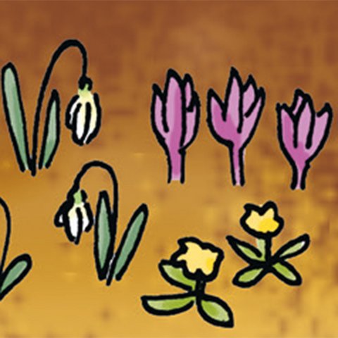 Krokusse, Schneeglöckchen und Primeln