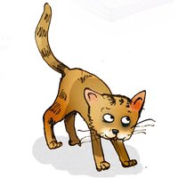 Geduckte braune Katze 