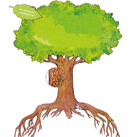 Baum mit Krone, Stamm und Wurzeln