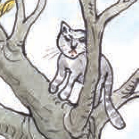 Graugetigerte Katze zwischen Baumästen.