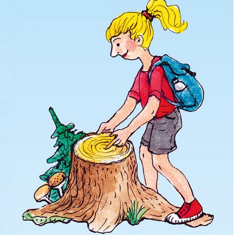 Tipps rund um Bäume Mädchen zählt Baumringe an Baumstamm