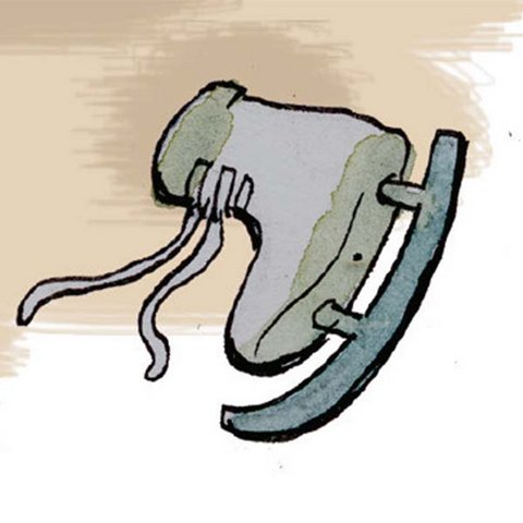 Tim und die Schneelaterne Schlittschuh