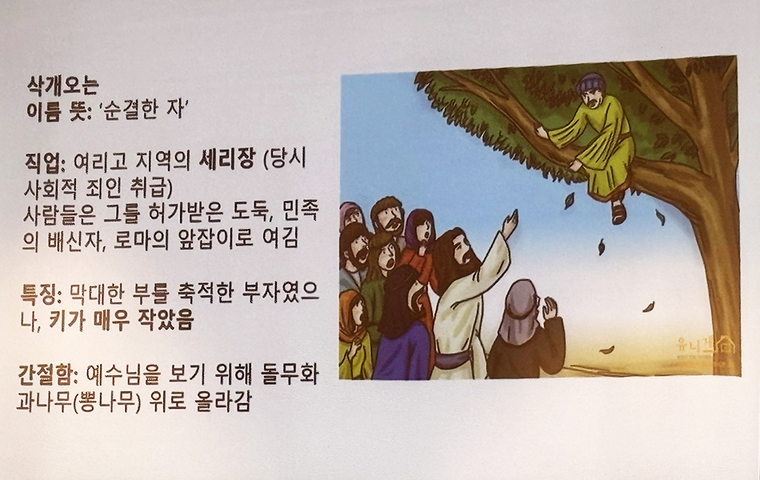 Bild Jesus spricht mit Zachäus auf Baum und koreanischer Text
