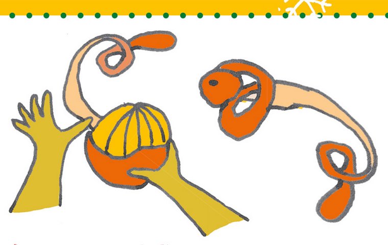 Orange zur Spirale schälen
