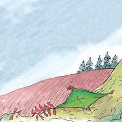 Grüner Drachen mit roten Schleifen auf Wiese.