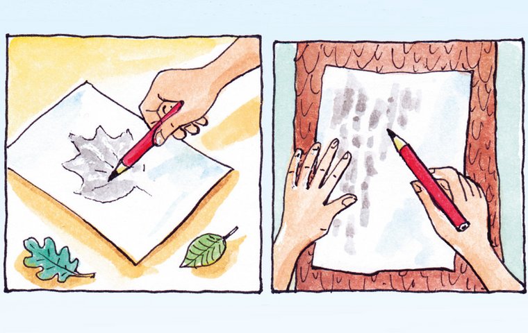 Papier auf Baumrinde legen und mit Stift abrubbeln