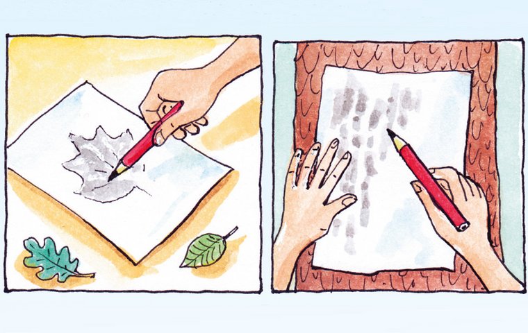 Tipps rund um Bäume Papier auf Baumrinde legen und mit Stift abrubbeln