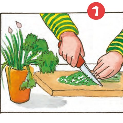 Topf mit Petersilie und Schnittlauch und Hände, die mit Messer Kräuter auf Brett schneiden.