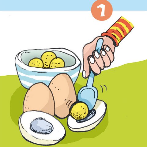 Eier mit Schale, halbierte Eier, ausgelöste Eigelbe