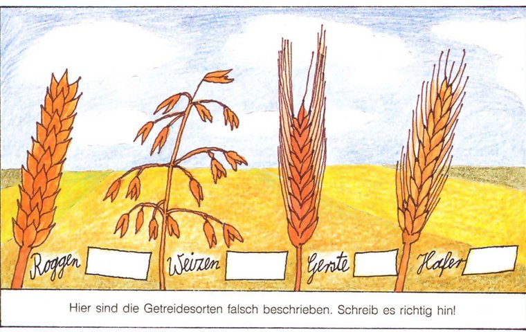 Getreidesorten falsch benannt.