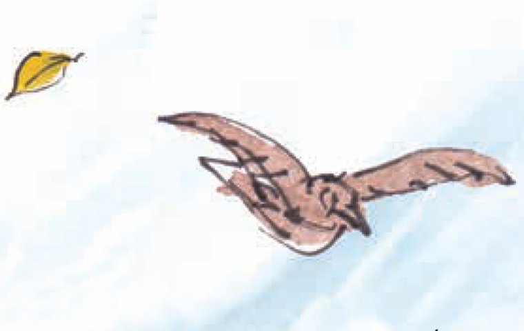 Fliegender Vogel