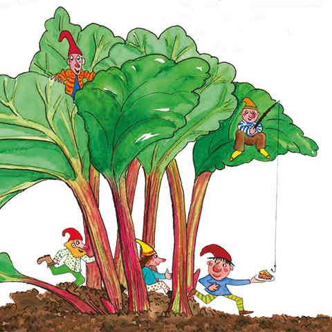 Rhabarberpflanzen mit kleinen Wichteln.