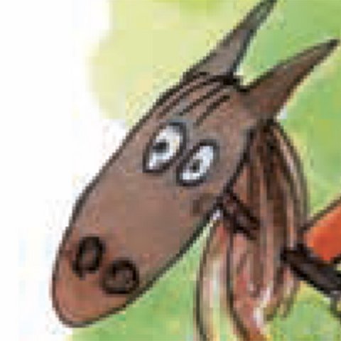 Kopf eines Steckenpferds