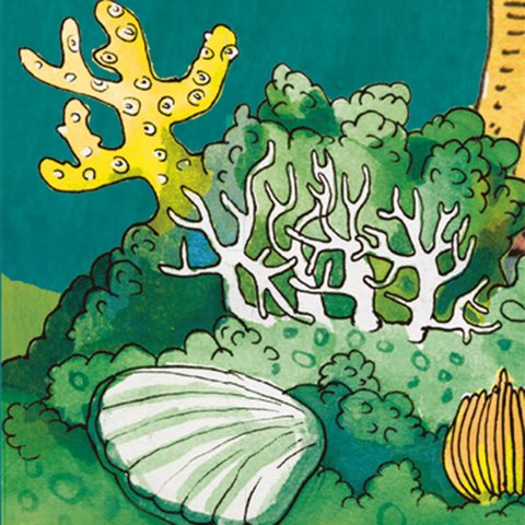 Unter Wasser Tauchen Kinderzeitschrift Benjamin Unterwasserwelt mit Korallen und Muschel