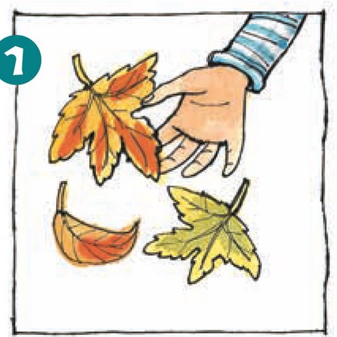 Hand und drei Herbstblätter