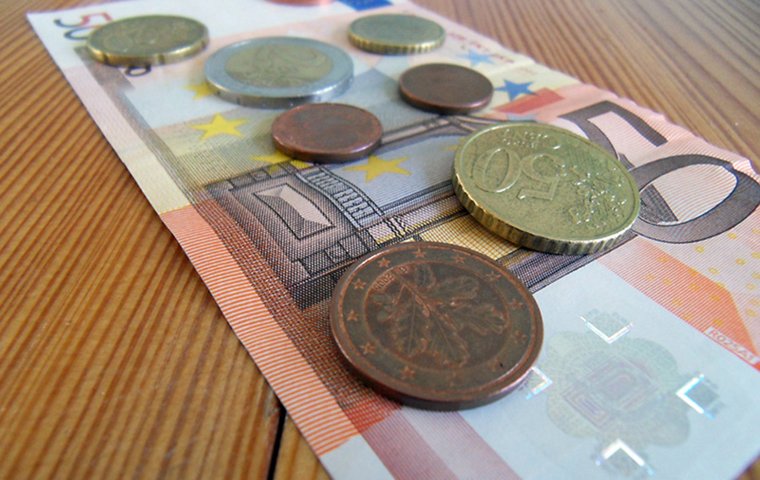 5u-Euro-Schein und verschiedene Euro-Münzen