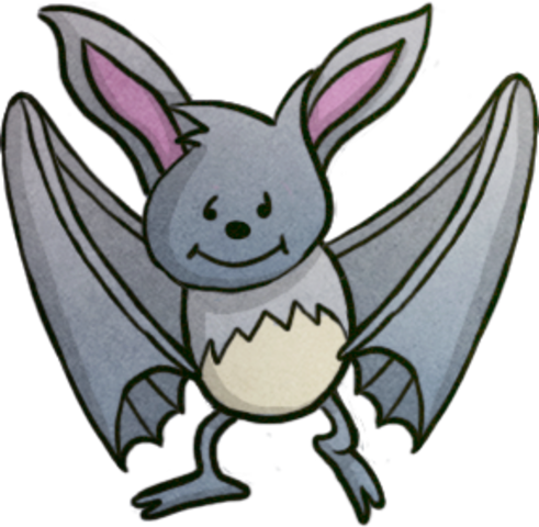 Fledermaus Fledermaus